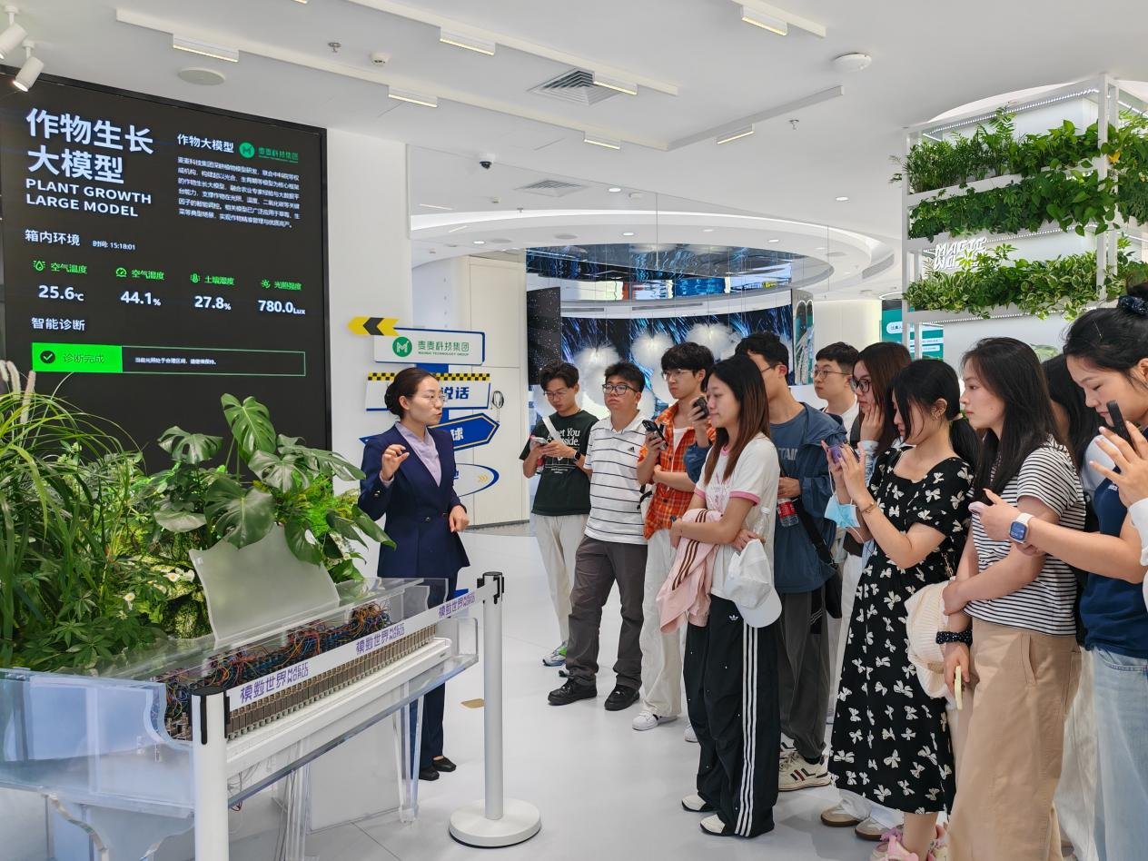 养老机构与文化地标